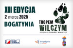 Bogatynia biegnie tropem wilczym - zapisy