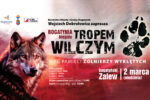 Bieg Tropem Wilczym